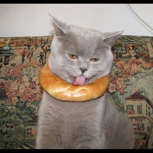 Meet your Posher, Daniel